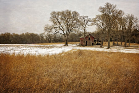 1st Place A Winters Day By Julie Dodge 20(1)