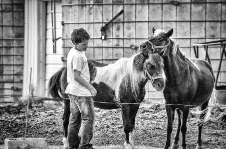 A BOY AND HIS HORSES By Kristi Christianson 73(1)